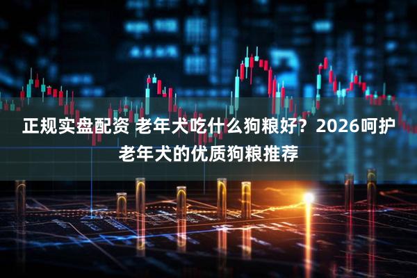 正规实盘配资 老年犬吃什么狗粮好？2026呵护老年犬的优质狗粮推荐