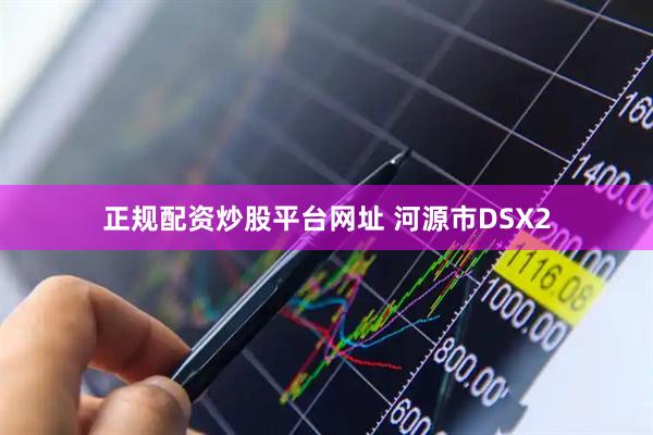 正规配资炒股平台网址 河源市DSX2