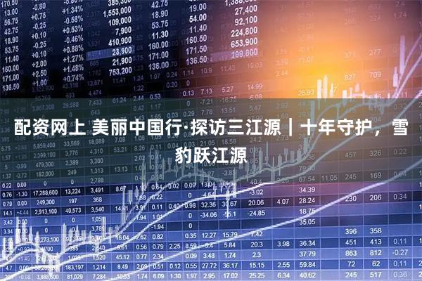 配资网上 美丽中国行·探访三江源｜十年守护，雪豹跃江源